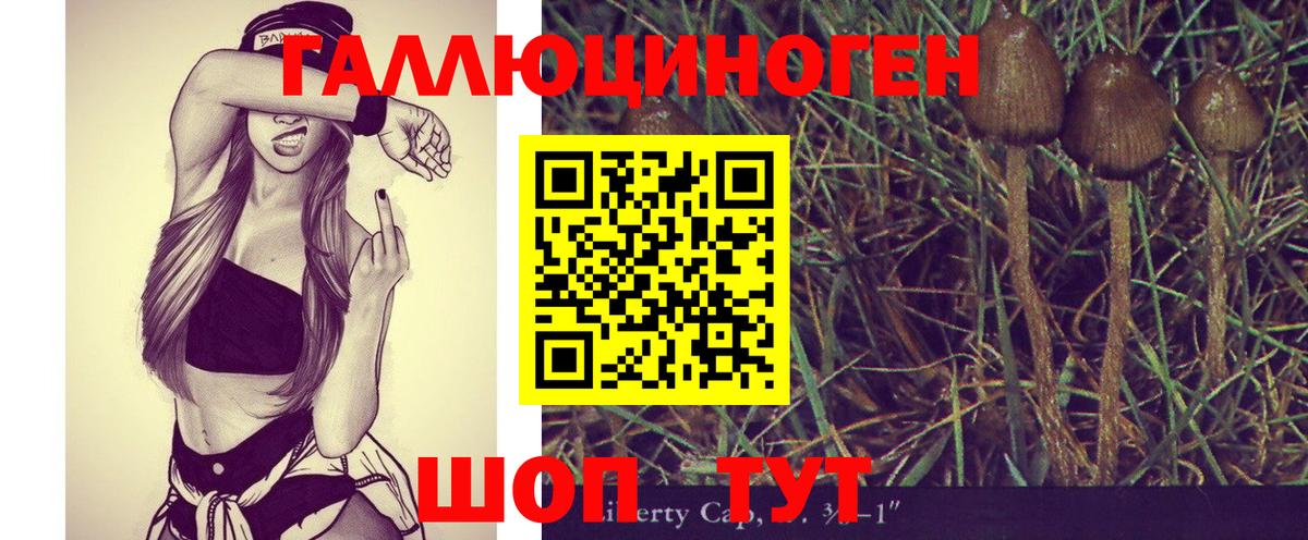Псилоцибиновые грибы GOLDEN TEACHER Тольятти