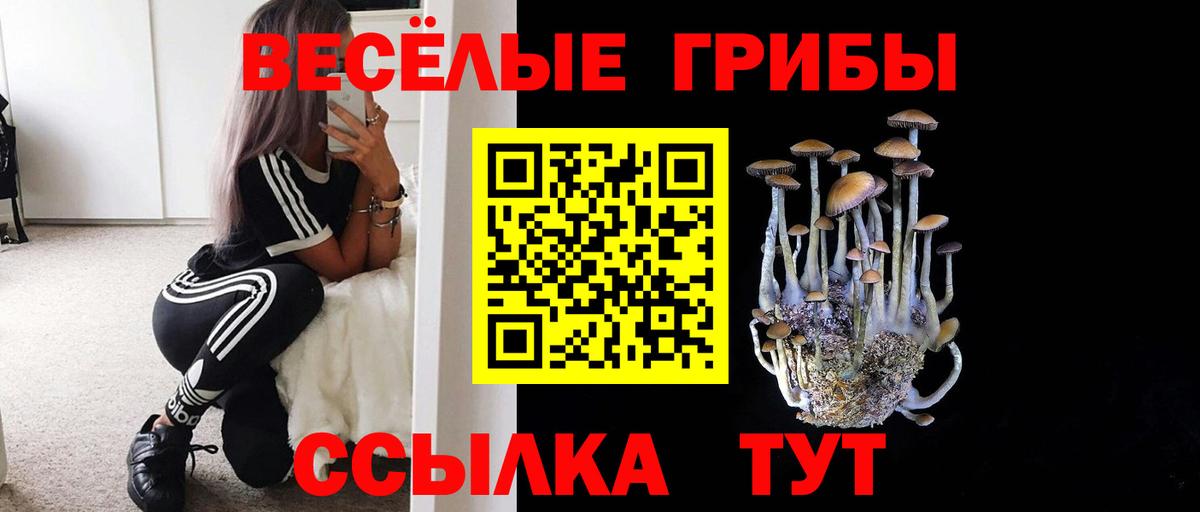 Галлюциногенные грибы мухоморы  Псилоцибиновые грибы MAGIC MUSHROOMS  Вход с VPN  Тольятти 